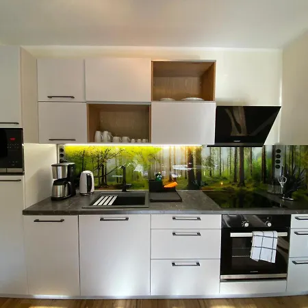 Rollstuhlgerechtes Ferienapartment A1 Wilisch 65qm Apartment *