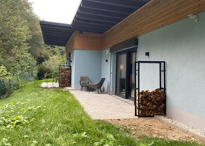 Apartment Luxurioeses Rollstuhlgerechtes Ferienapartment A1 Mit Umzaeunten Garten, 65qm Amtsberg